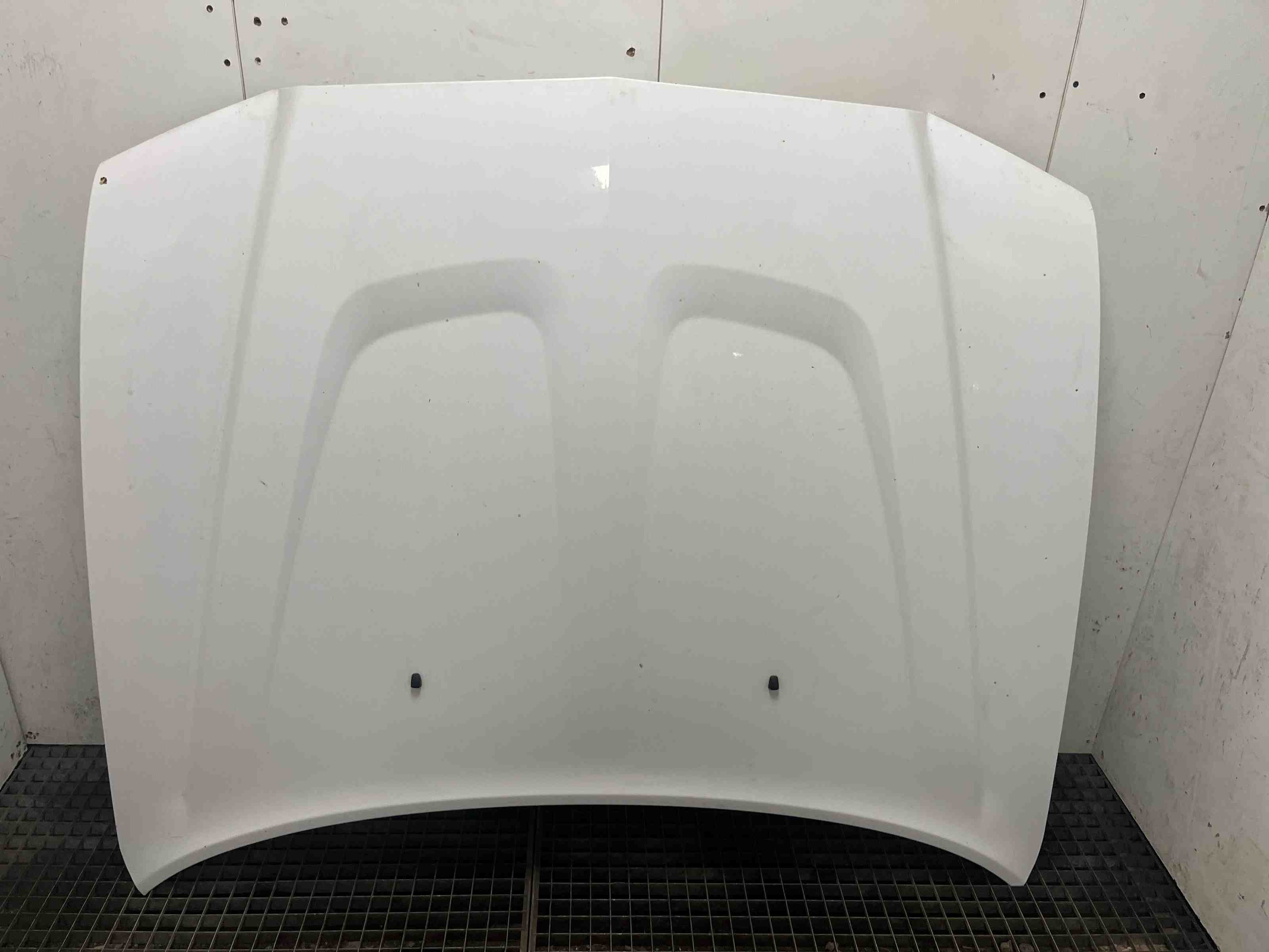 DODGE Charger LD (2010-2024) Motora pārsegs 04722032AA 32396189