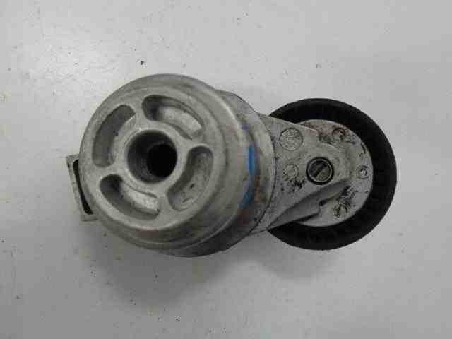 OPEL Astra G (1998-2009) Натяжитель ремня ГРМ 55565570 32479246