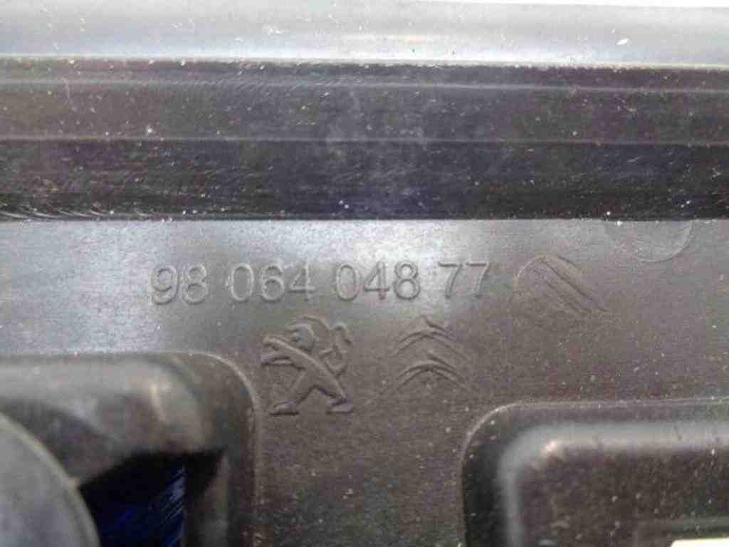 PEUGEOT 307 1 generation (2001-2008) Kreisās puses jumta moldings 9810111980 32485351