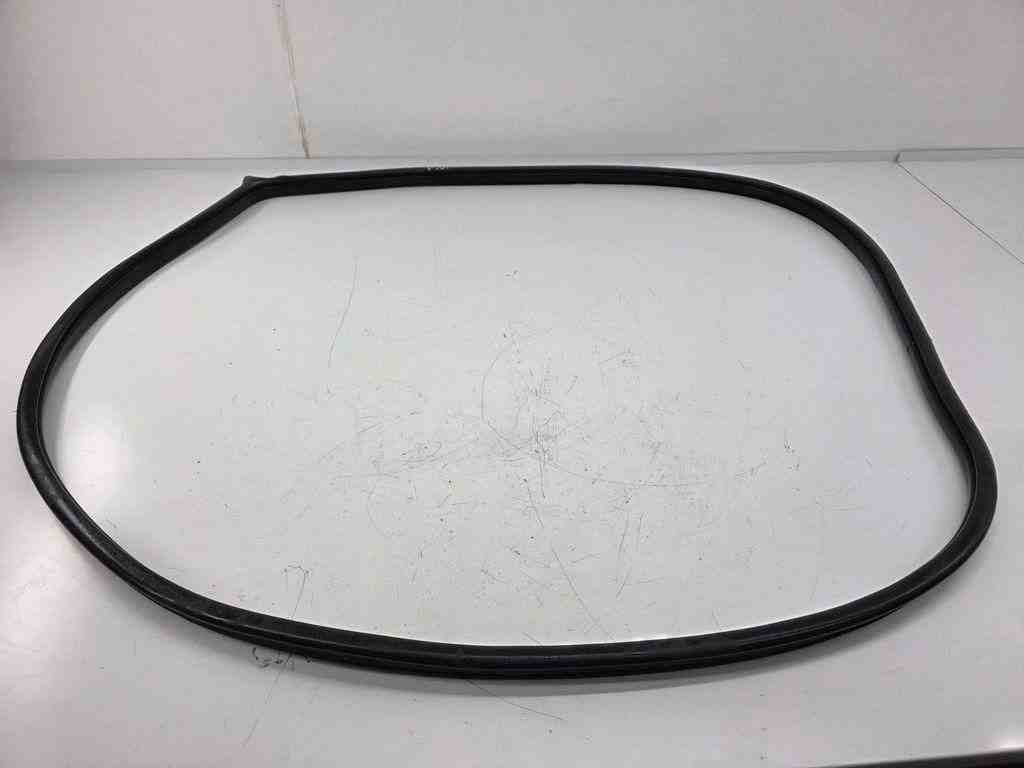KIA Sportage 4 generation (2016-2022) Front Right Door Seal Rubber 32445280
